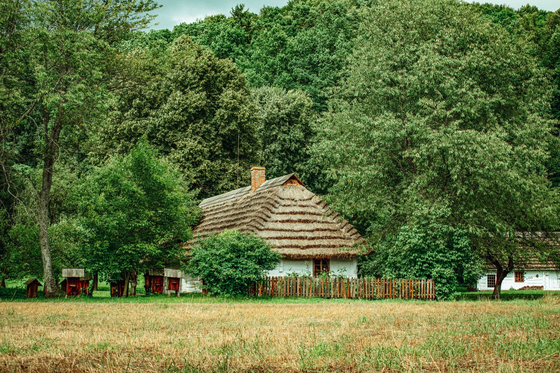 Traditional Polish cottage nestled among lush trees in a serene rural setting.