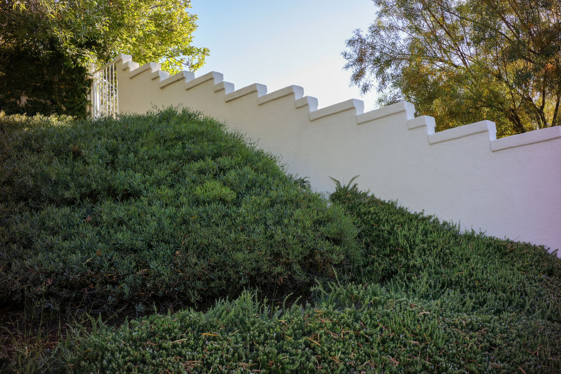 A sloping garden with lush greenery against a white stepped wall, sunlight enhancing the summer vibe.