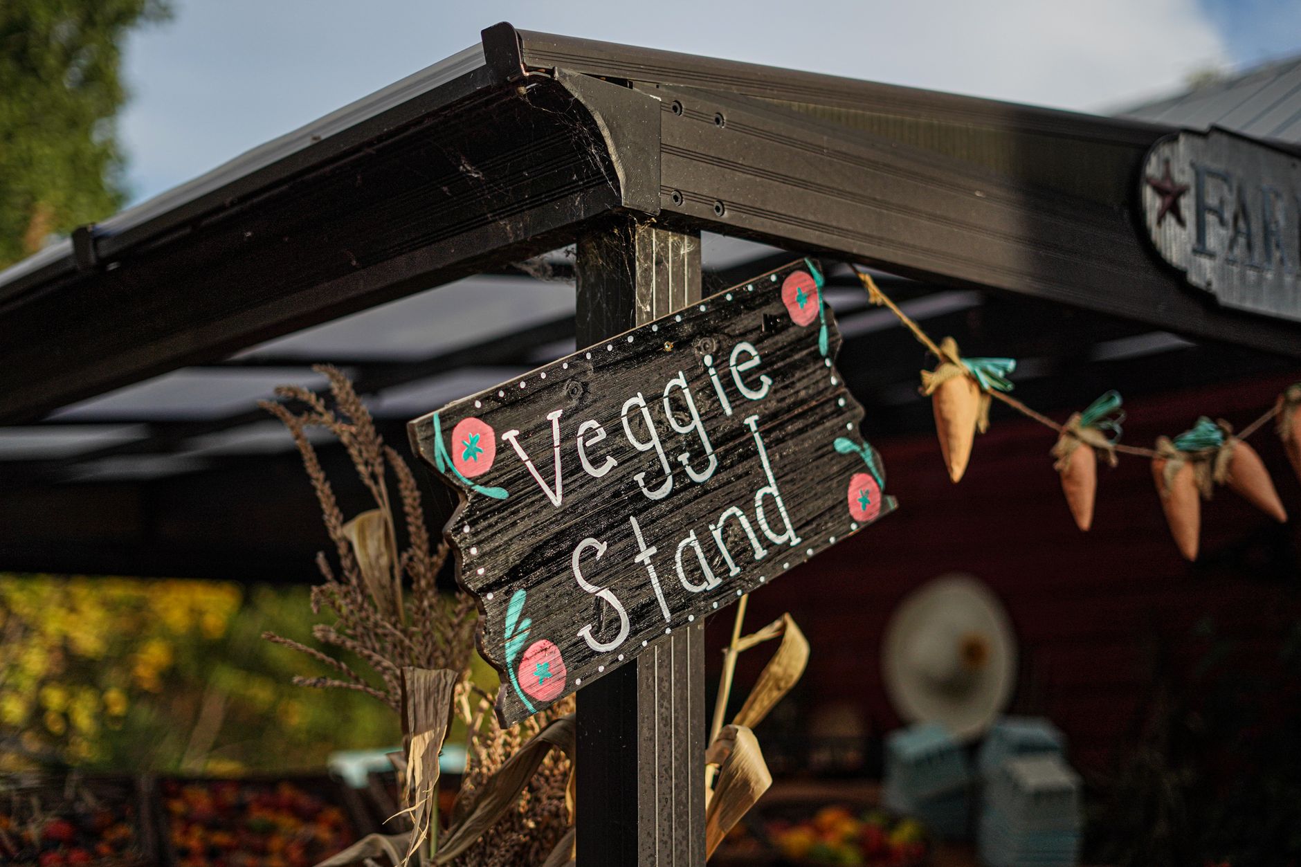 Rustic veggie stand with organic produce and autumn decoration under a gazebo.