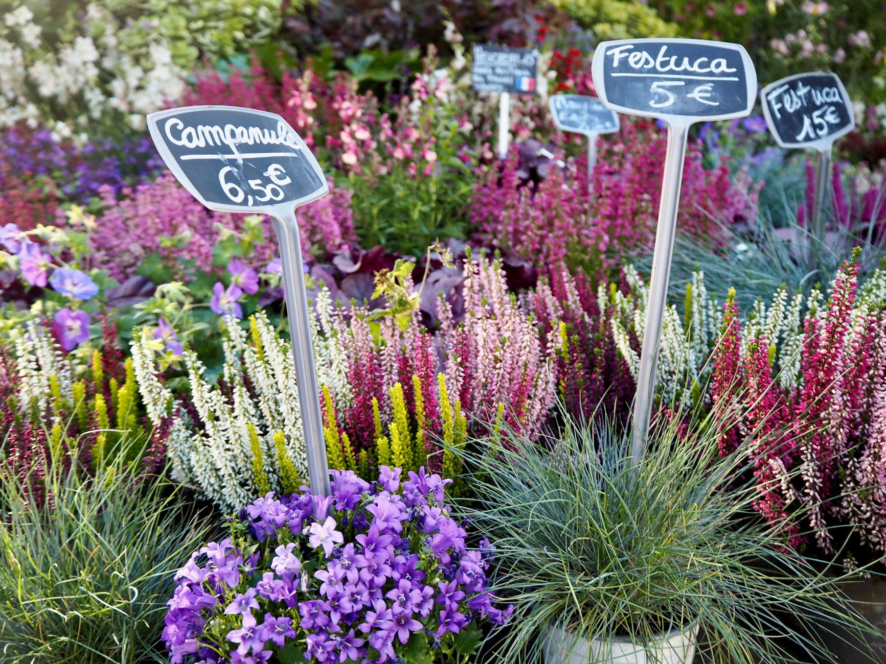 Colorful flower market display featuring vibrant flowers with price tags, perfect for garden enthusiasts.